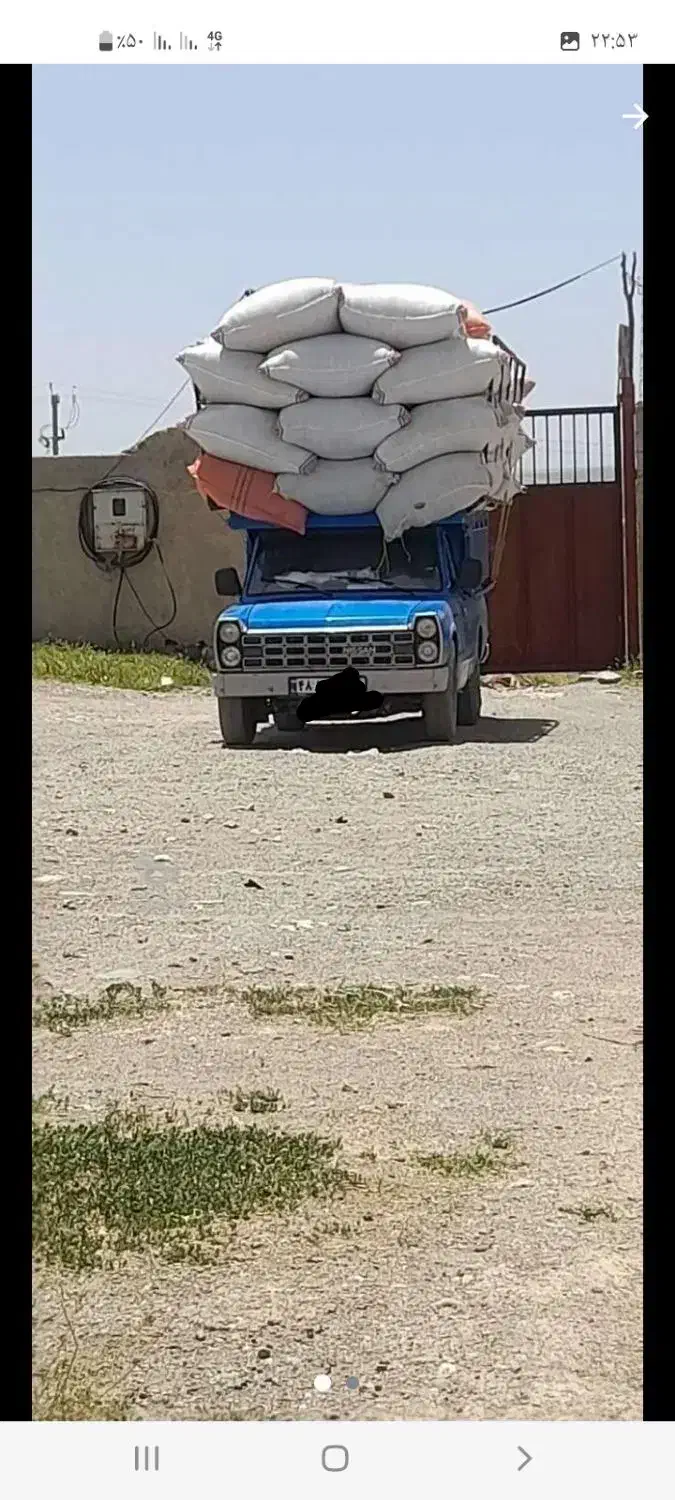 فروش کاه نخوددیم کوردستان|خدمات باغبانی و درختکاری|دالخانی, |دیوار