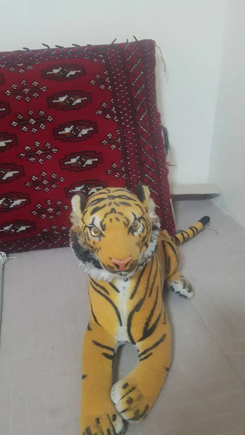 ببر سالم زیبا|اسباببازی|رباطکریم, شهرک درخشان|دیوار