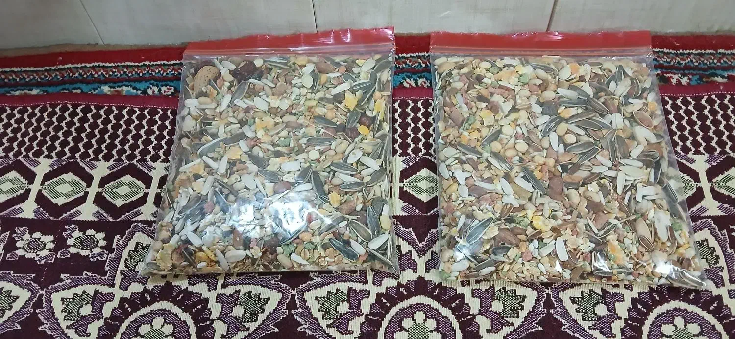 آجیل کاسکو|لوازم جانبی حیوانات|شیراز, زند|دیوار