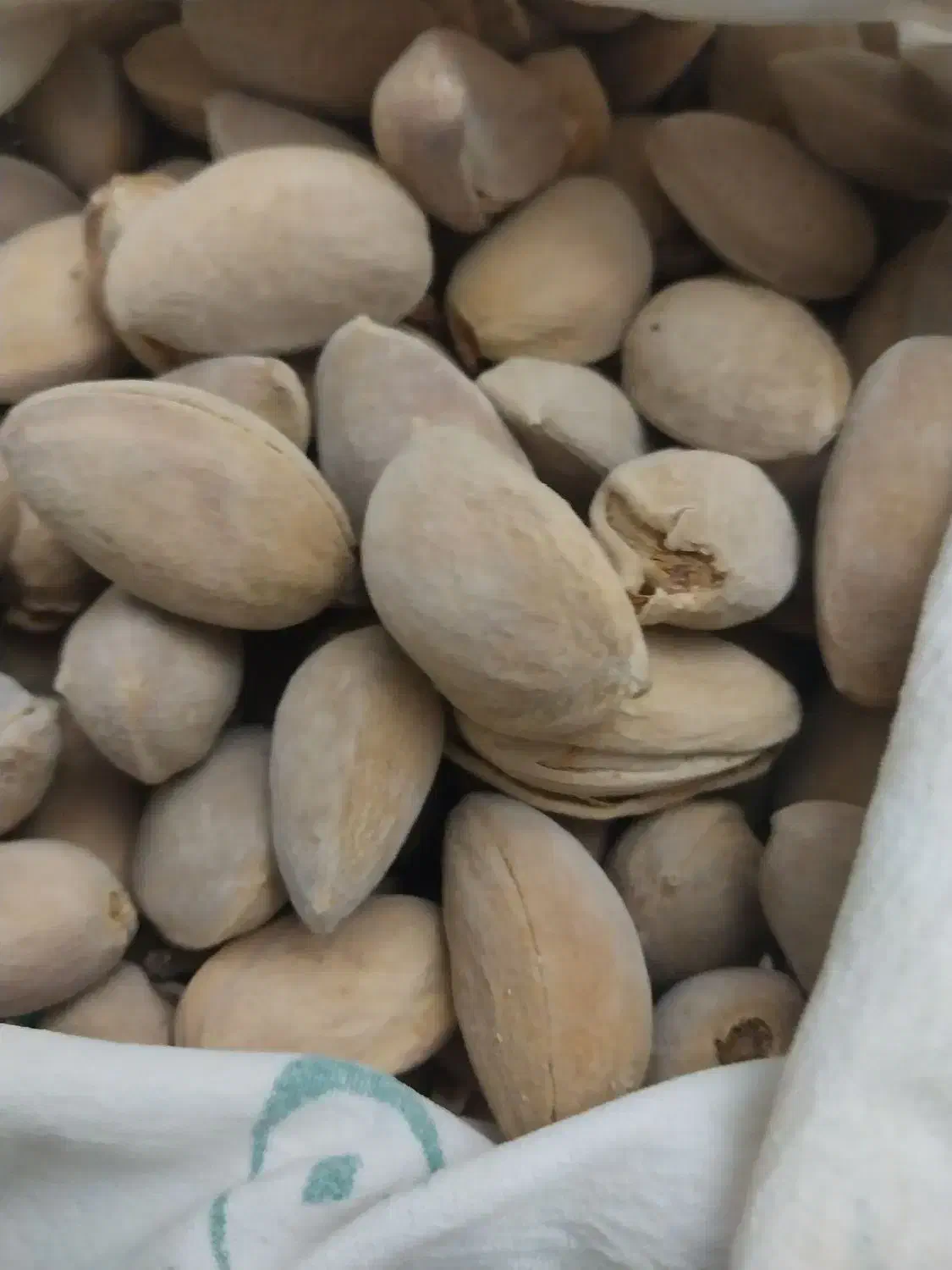 بادام درختی|خوردنی و آشامیدنی|تهران, امیریه|دیوار