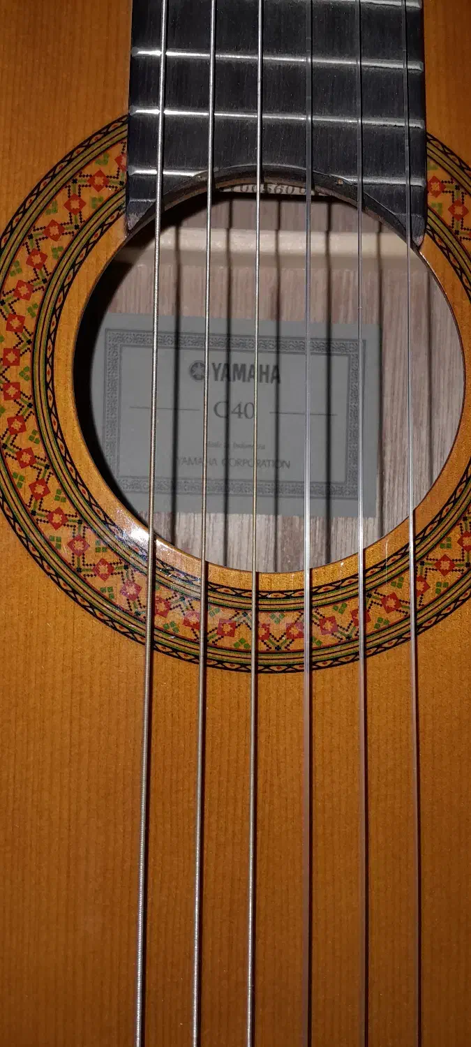 گیتار|گیتار، بیس، امپلیفایر|تهران, جنت‌آباد جنوبی|دیوار