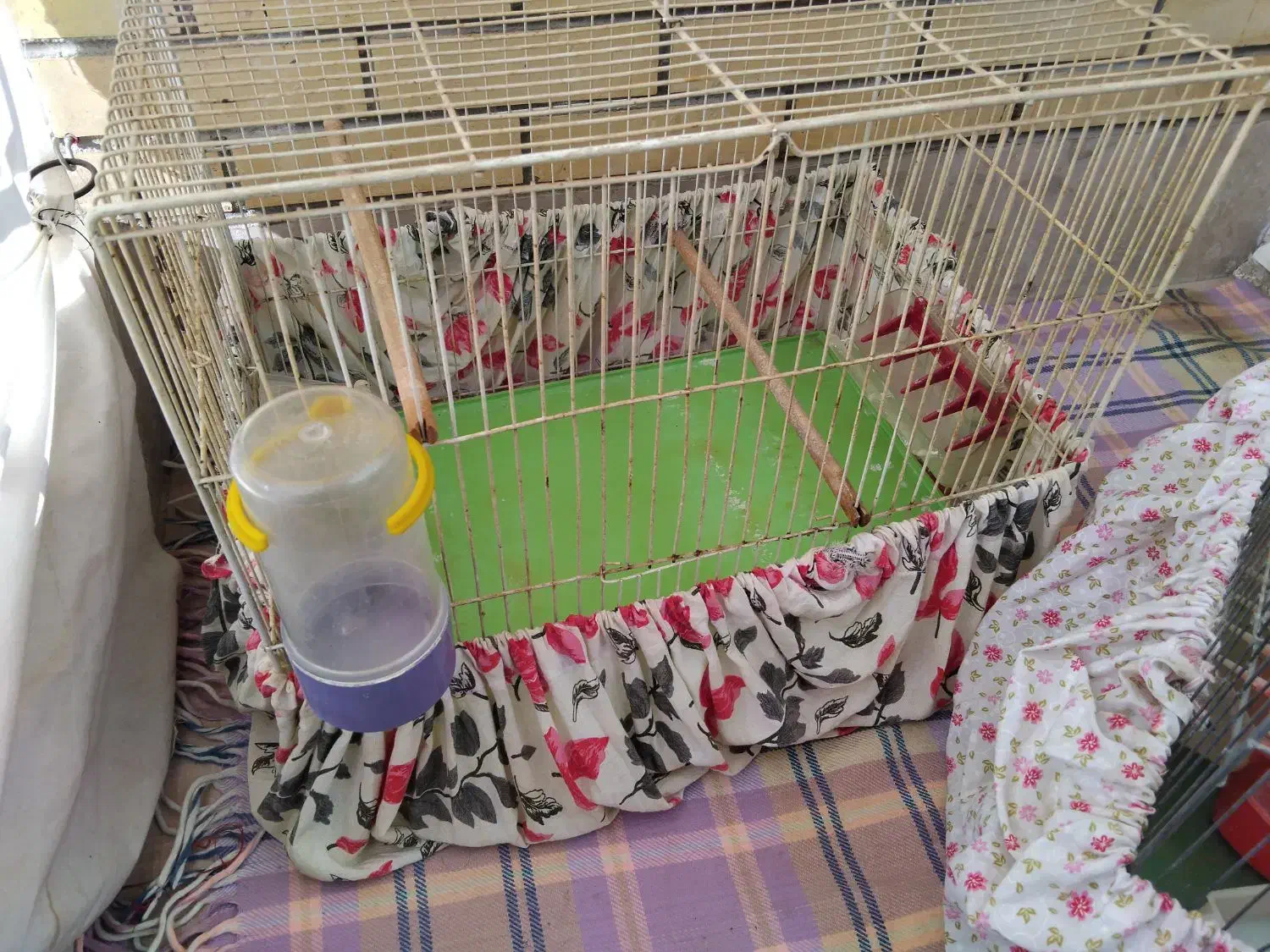 قفس جفت کن|لوازم جانبی حیوانات|اصفهان, سرتاوه|دیوار