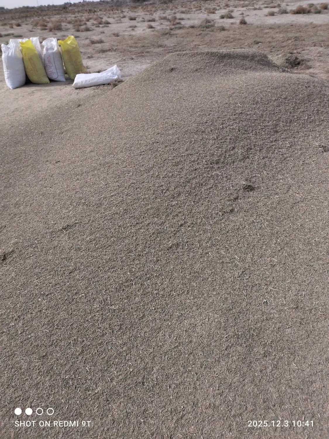 خار|خدمات باغبانی و درختکاری|زابل, |دیوار