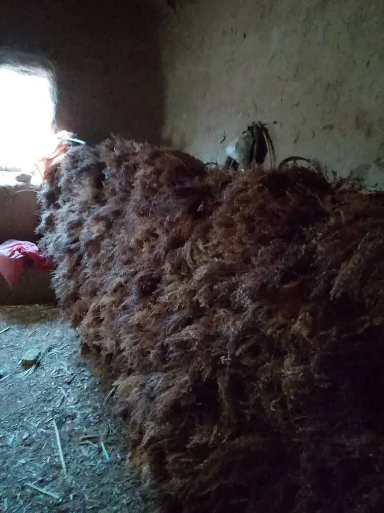 فروش جارو|لوازم نظافت|چاپشلو, |دیوار