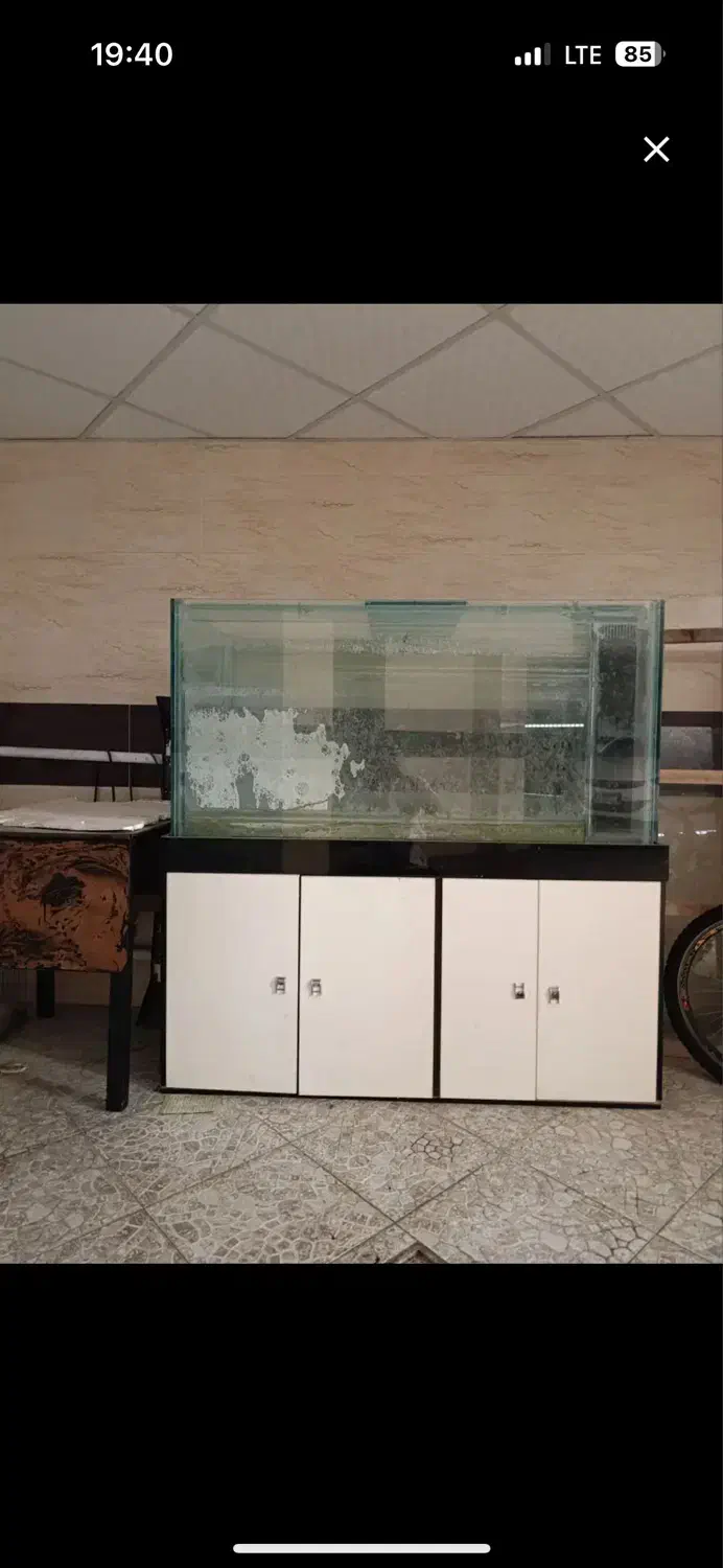 آکواریوم بزرگ|ماهی|تبریز, |دیوار