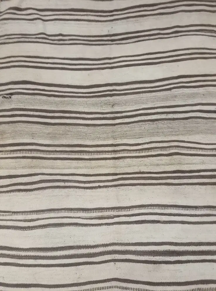 گلیم 6متری|گلیم، جاجیم، گبه|بندر کنگان, |دیوار