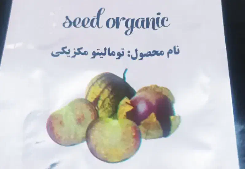 معجزه ای در کاشت گوجه|عمده‌فروشی|شیراز, کوی زهرا|دیوار
