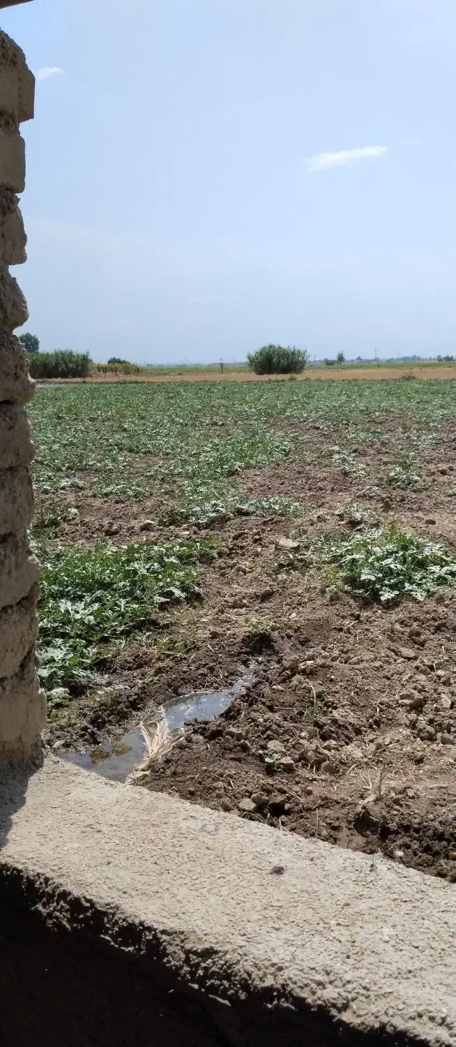 گوشی گمشده|موبایل|زابل, |دیوار