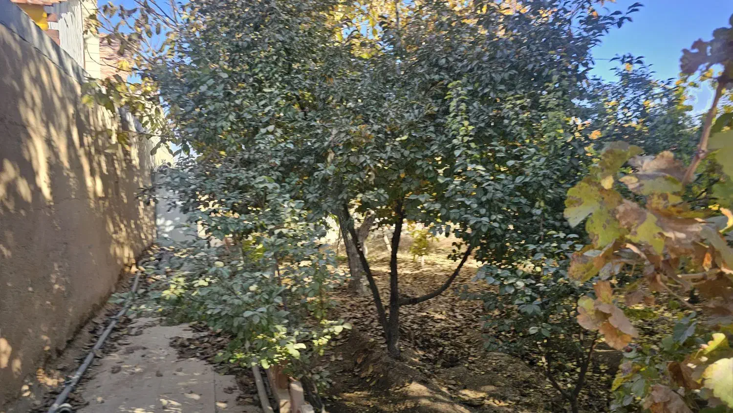 باغ چهاردیواری قلعه سفید|فروش خانه و ویلا|نجف‌آباد, قلعه سفید|دیوار