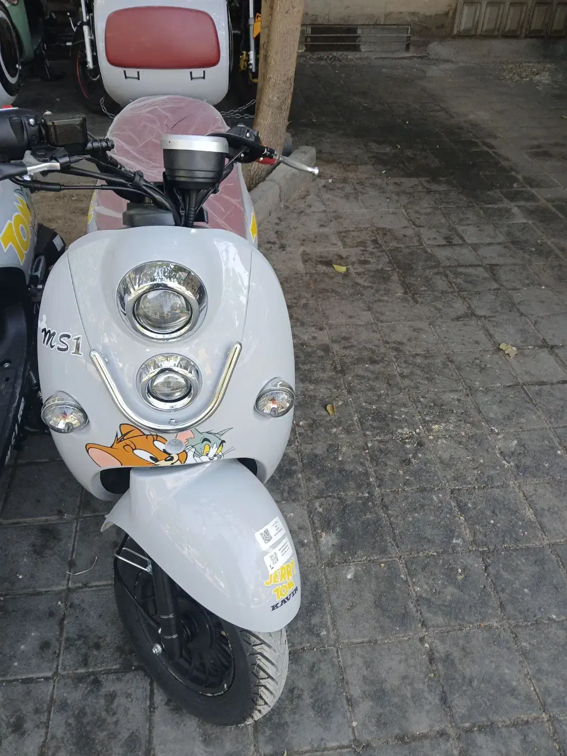 اسکوتر(ms1) 50 مدل ۴۰۴ صفرخشک با پلاک(مناسب بانوان|موتورسیکلت|تهران, سبلان (لشگر)|دیوار