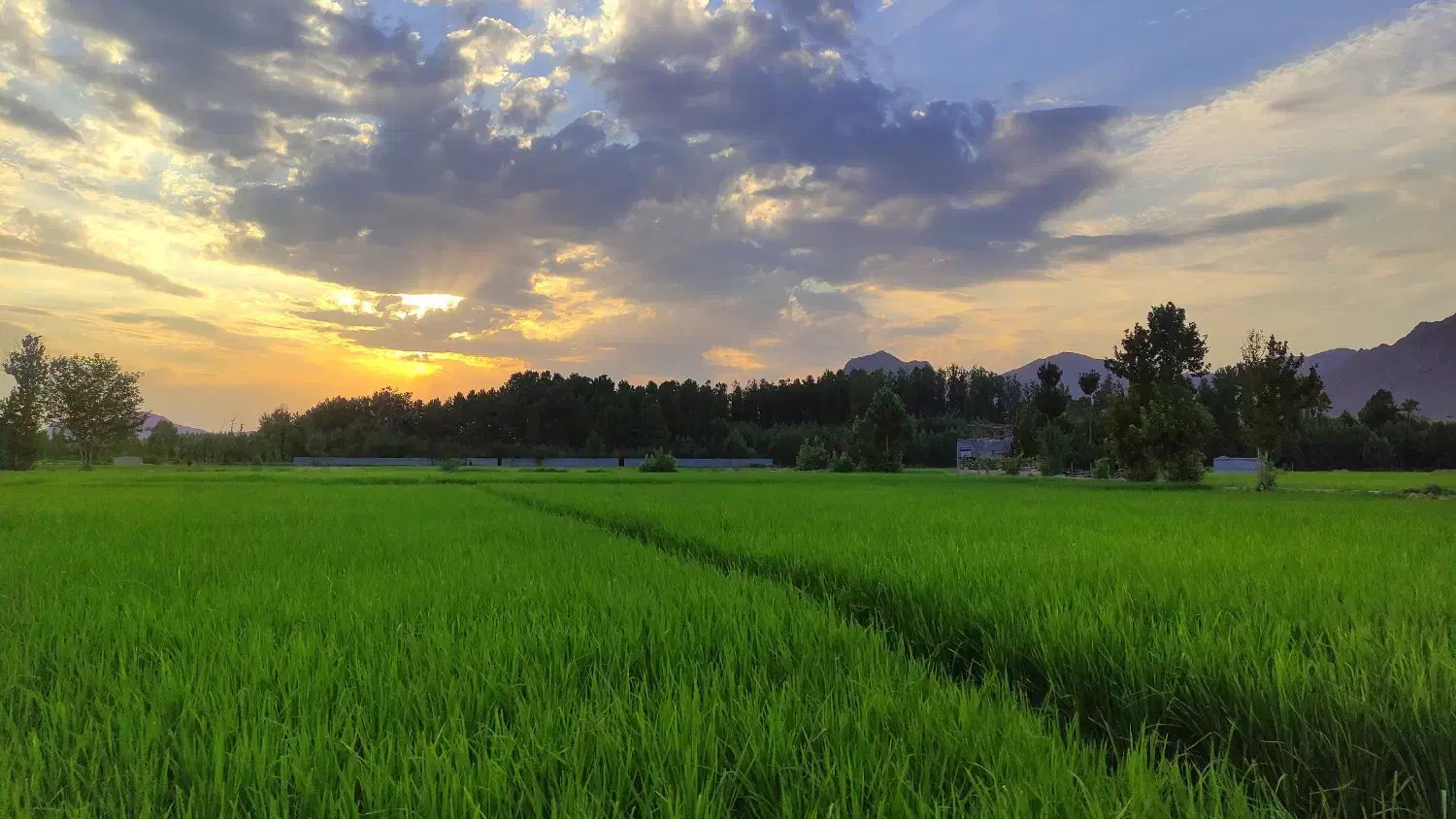 اجاره روزانه منزل|اجارهٔ کوتاه‌مدت آپارتمان و سوئیت|مبارکه, |دیوار