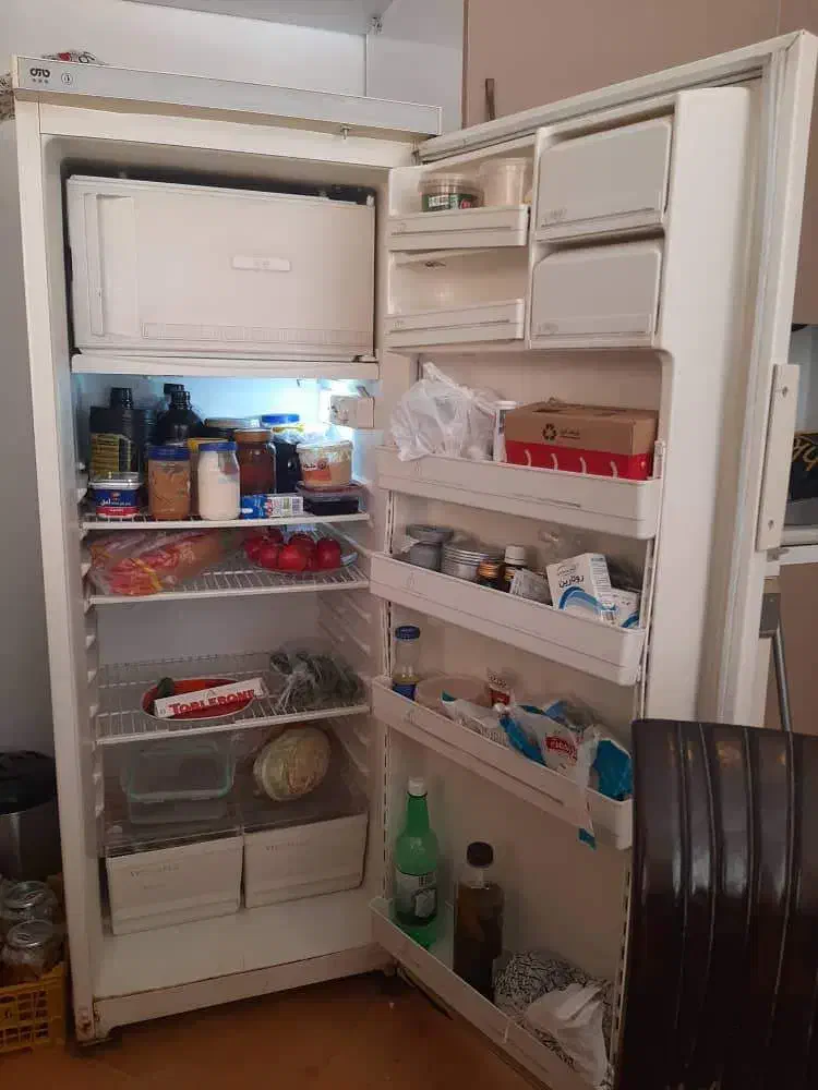 یخچال پارس|یخچال و فریزر|مشهد, تربیت (صدف)|دیوار