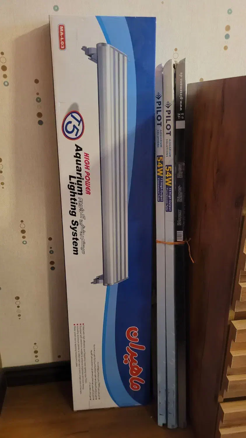 قاب مهتابی آکواریوم ماهیران|ماهی|شیراز, فرهنگ شهر|دیوار