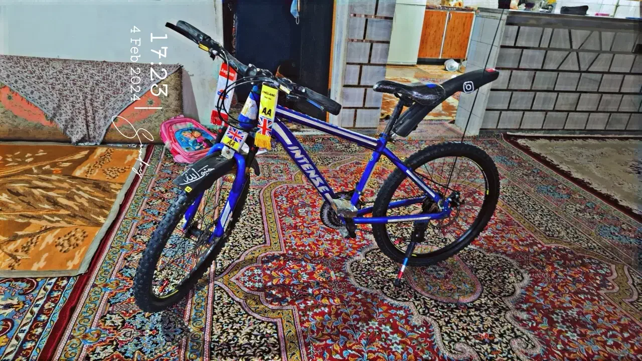 دوچرخه 24 اینتنز|دوچرخه، اسکیت، اسکوتر|ایوان, |دیوار