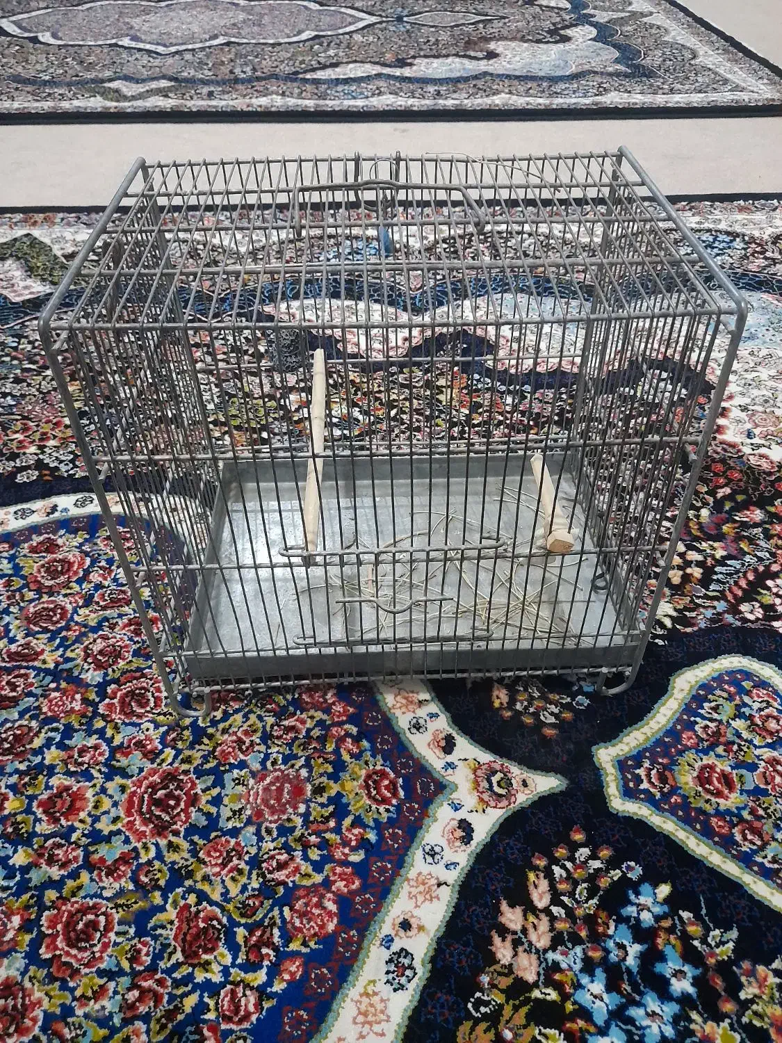 قفس پرنده|لوازم جانبی حیوانات|رباطکریم, نصیرشهر|دیوار