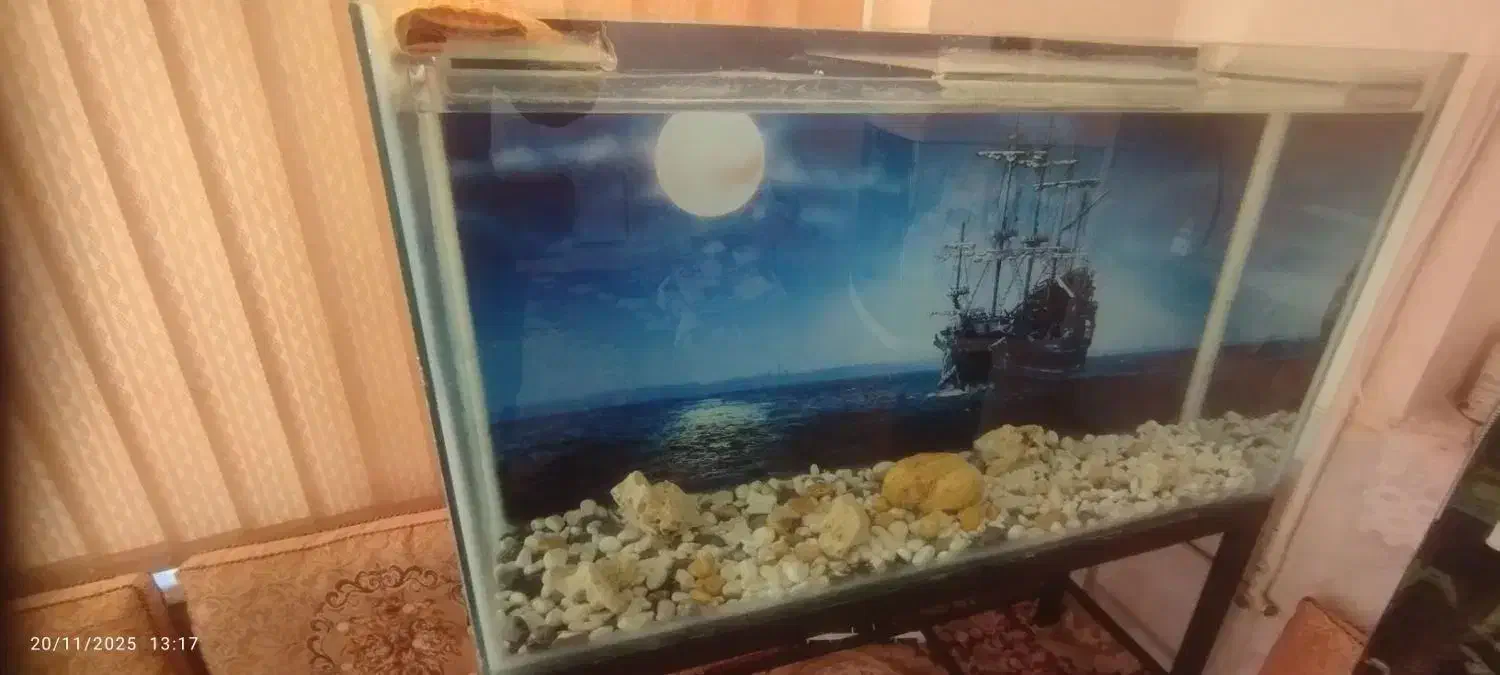 فروش|ماهی|شهرضا, |دیوار