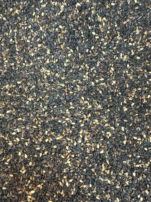 کنجد|خوردنی و آشامیدنی|تهران, شهرآرا|دیوار