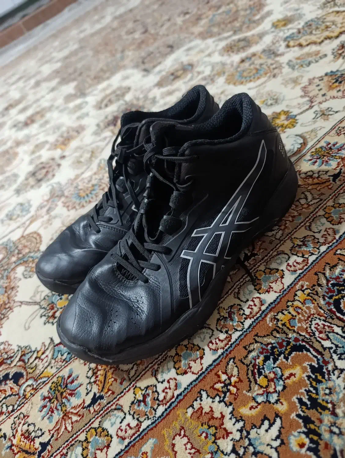 کفش والیبال|کیف، کفش، کمربند|کلاله, |دیوار