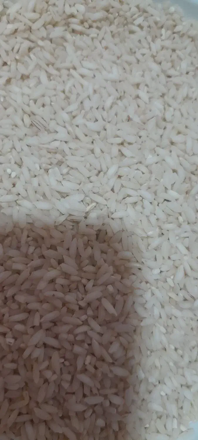 برنج|خوردنی و آشامیدنی|بندر ماهشهر, |دیوار