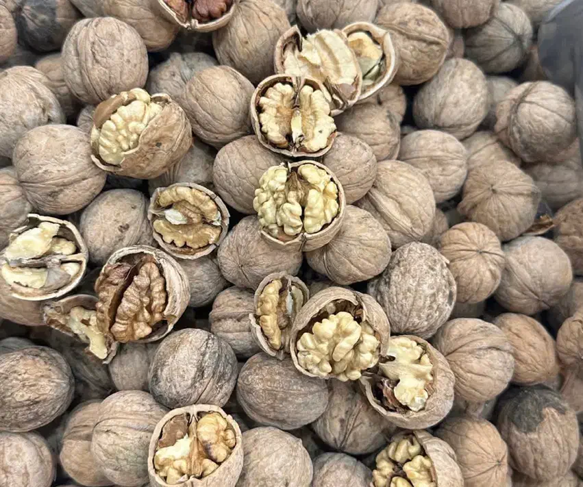گردو خوش طعم تازه برداشت امسال شهر تویسرکان|خوردنی و آشامیدنی|تهران, گلچین|دیوار