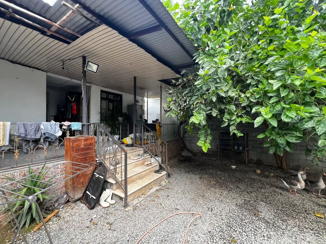 ویلا ۲۵۰متری بافت جاده سرخرود|فروش خانه و ویلا|دابودشت, |دیوار