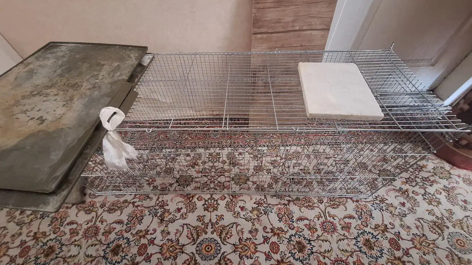 قفس پرنده خرگوش همستر جوجه مرغ سنجاب|لوازم جانبی حیوانات|تهران, افسریه جنوبی|دیوار