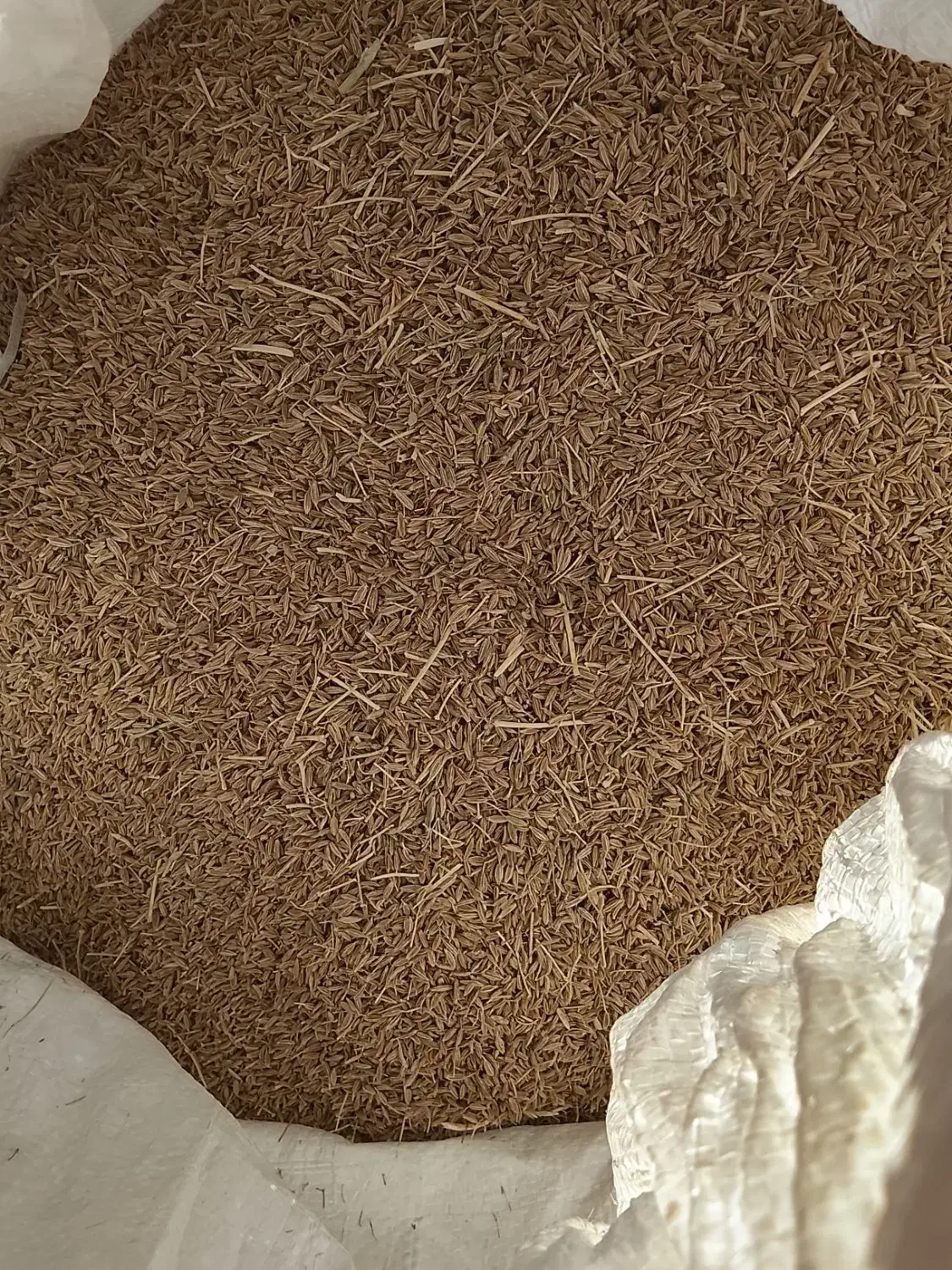 کرابیه(زیره سبز)|خوردنی و آشامیدنی|تربت جام, مطهری|دیوار