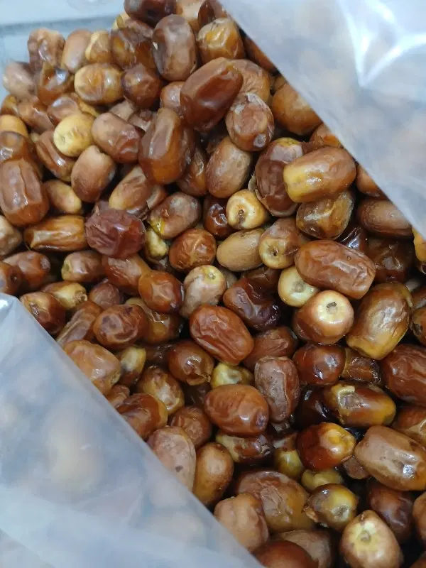 قصب|خوردنی و آشامیدنی|خورموج, |دیوار