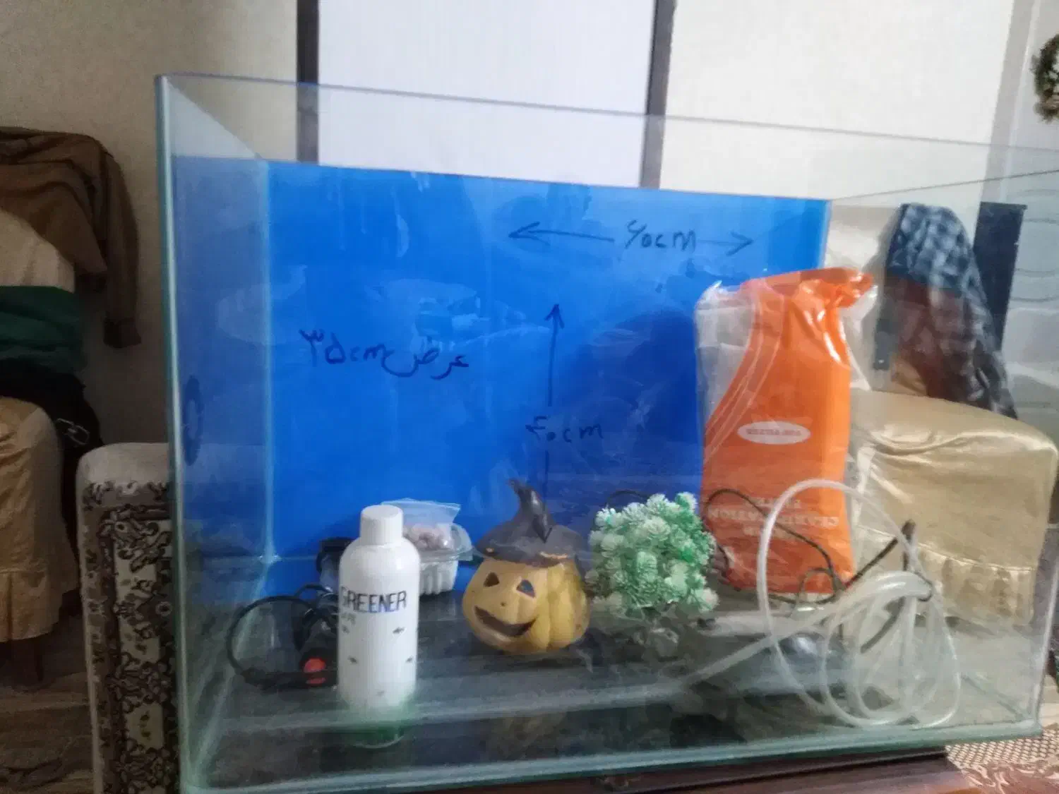 آکواریوم|ماهی|ری, دیلمان|دیوار