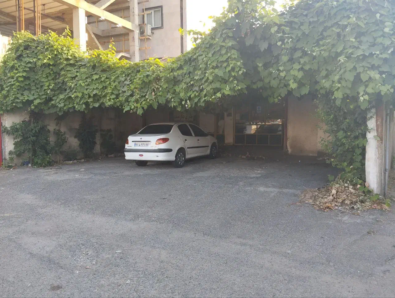 ۱۴۸ متر ملک ویلایی  سند دار|فروش مغازه و غرفه|رشت, پاستوریزه|دیوار