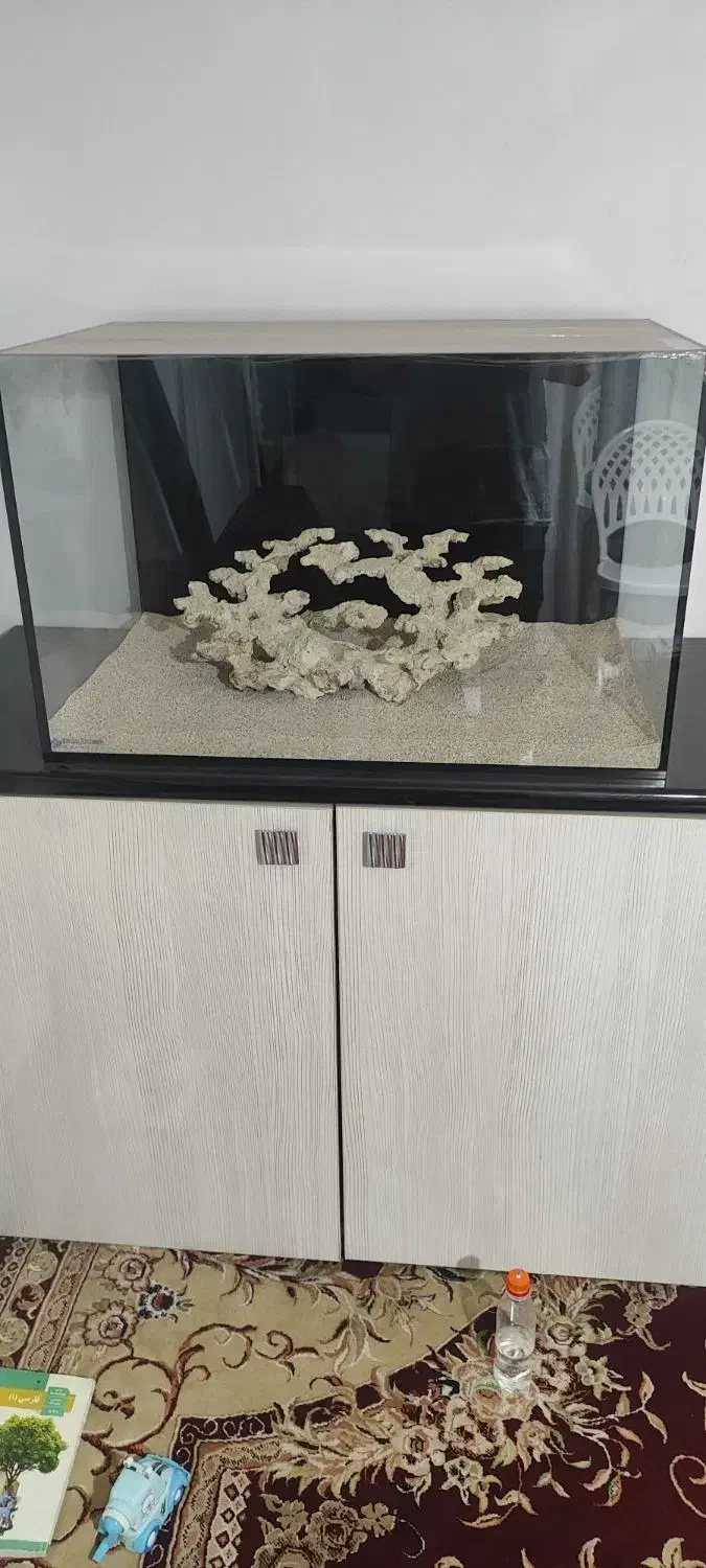 آکواریوم آب شور و لوازم|ماهی|کرمانشاه, |دیوار