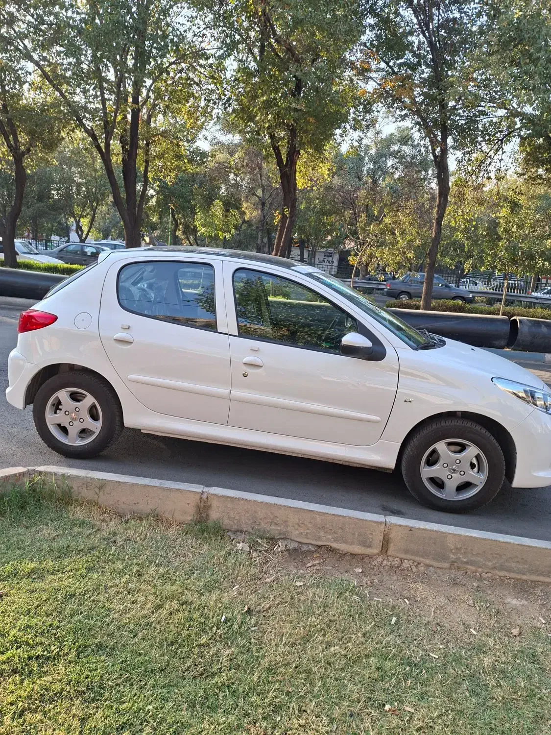 ۲۰۷ پانا دنده ای مدل ۱۴۰۴|خودرو سواری و وانت|اصفهان, شاهزید|دیوار