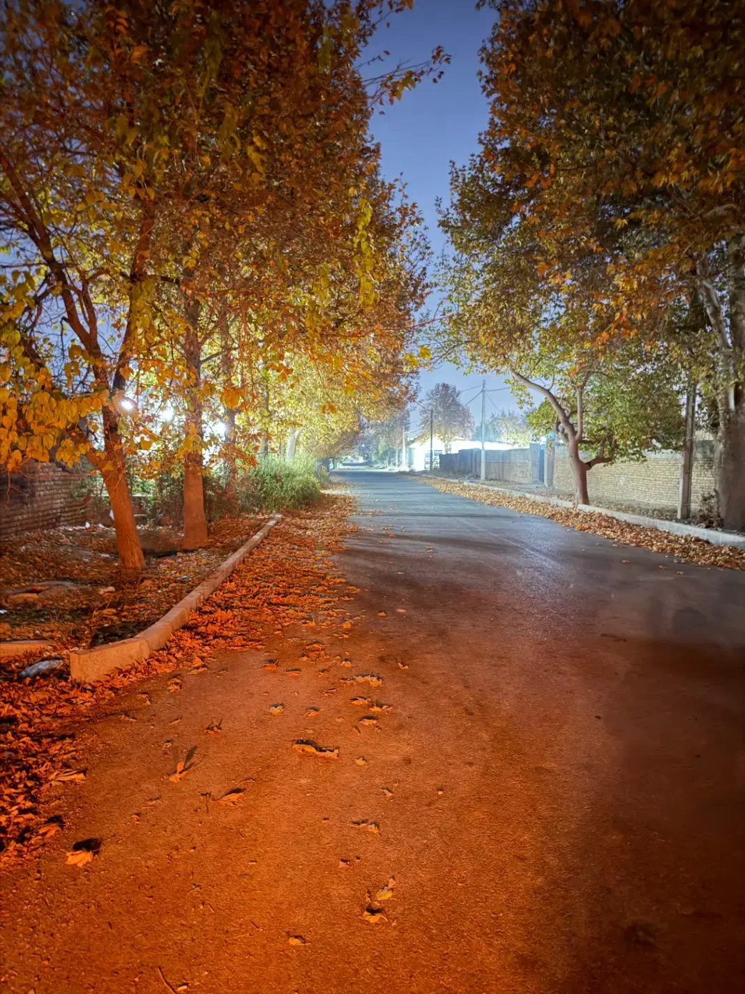 زمین چهار باغ|فروش زمین و ملک کلنگی|چهارباغ, |دیوار