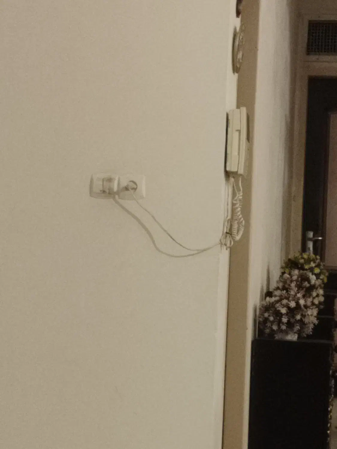 هم خانه(همخانه)|اجارهٔ آپارتمان|کرمانشاه, |دیوار