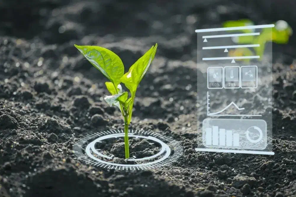 مشاوره تغذیه آفات بیماری گلخانه،باغ،باغچه،فضای سبز|خدمات باغبانی و درختکاری|یزد, |دیوار