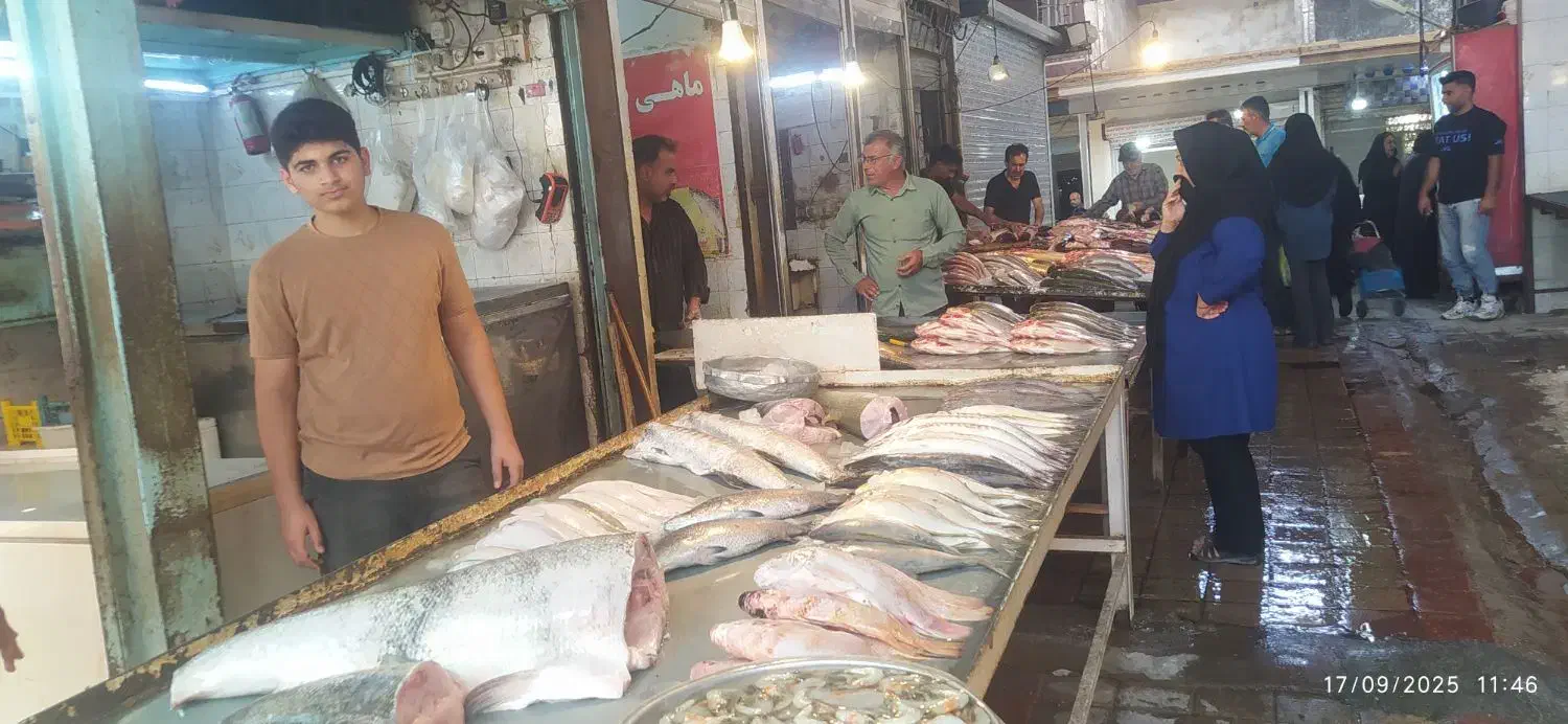 ماهی|ماهی|شوشتر, |دیوار