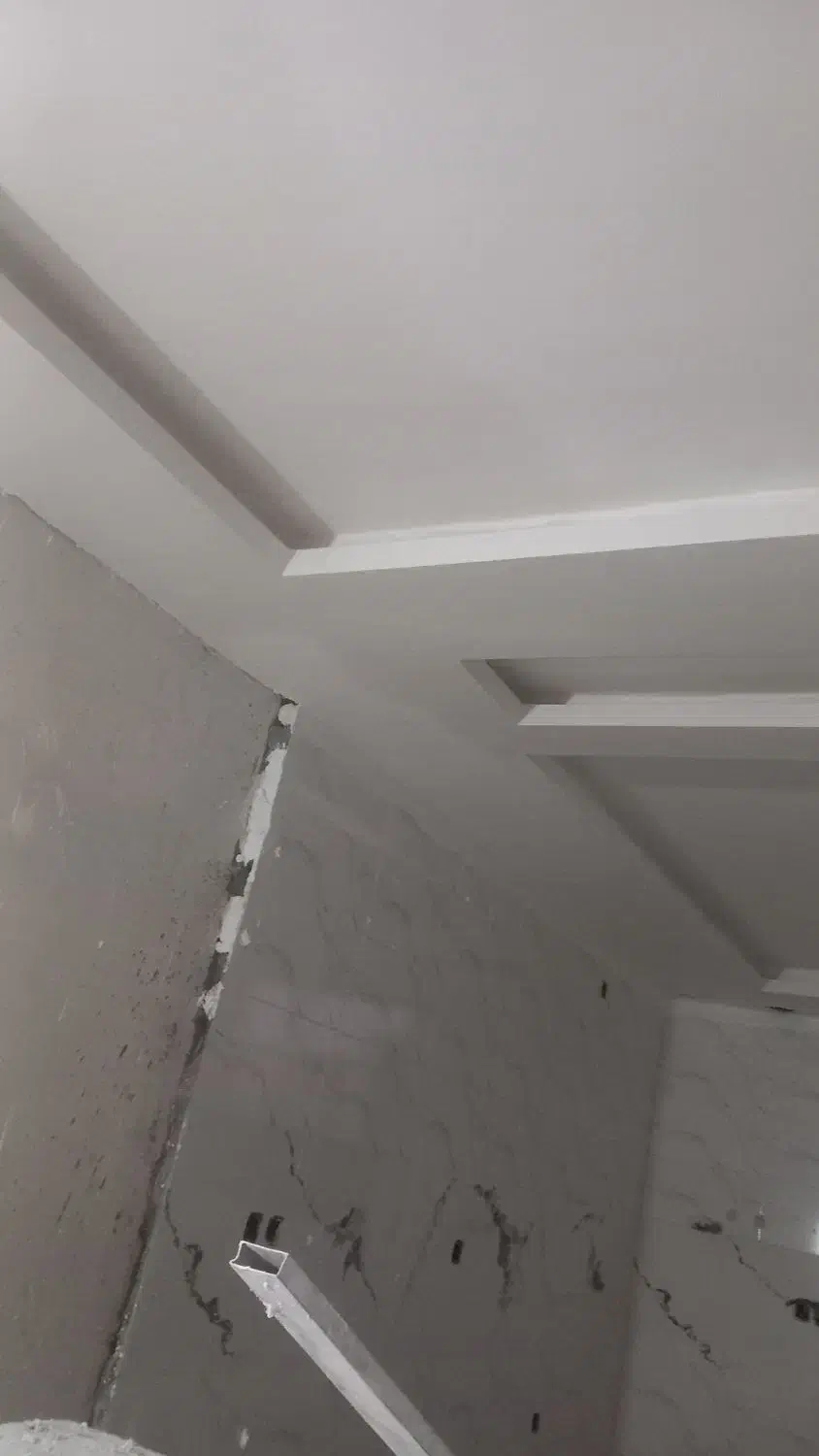 گچکاری وگچبری|خدمات پیشه و مهارت|سربیشه, |دیوار