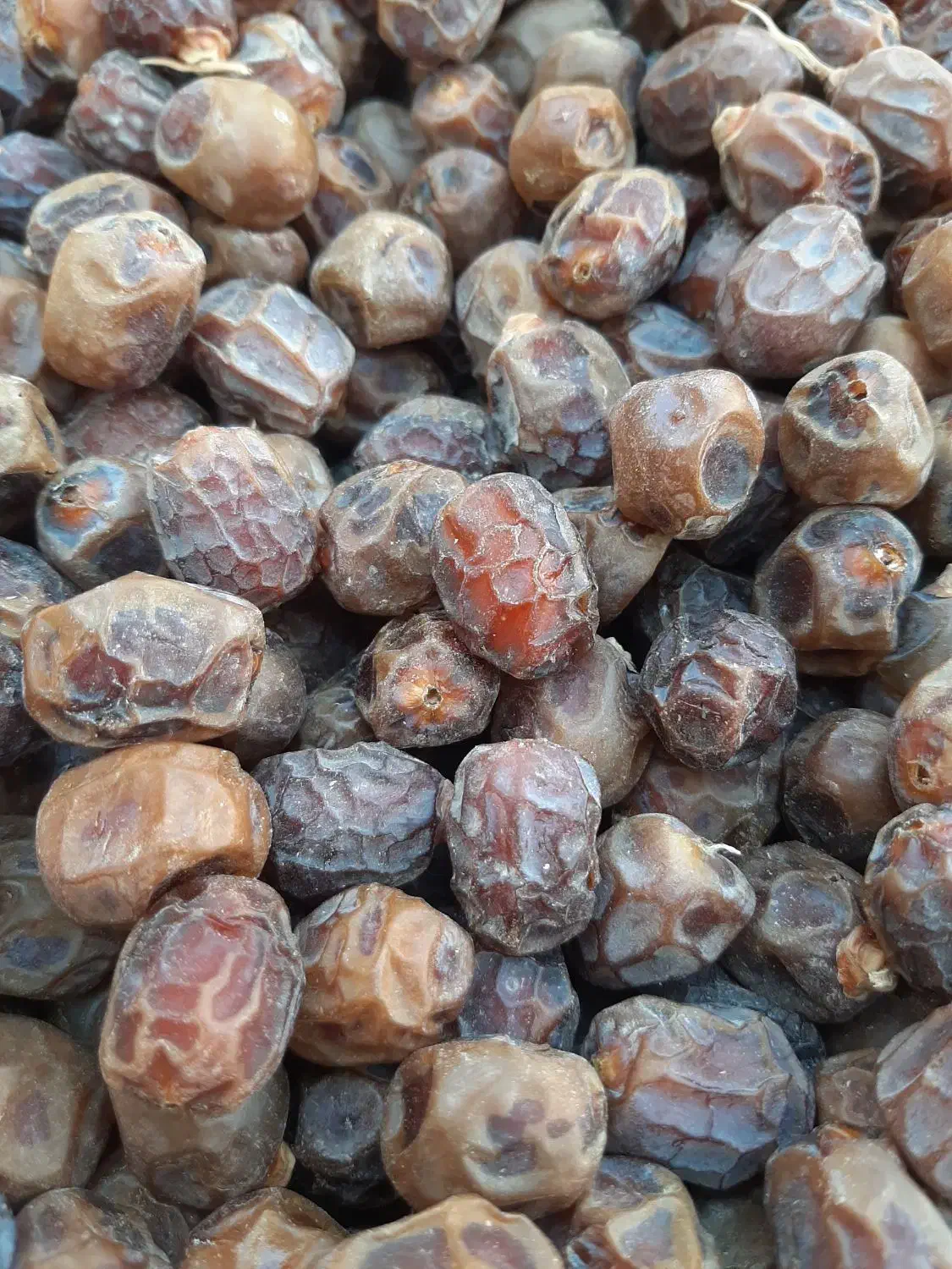 فروش خرمای زرد|خوردنی و آشامیدنی|لار, |دیوار