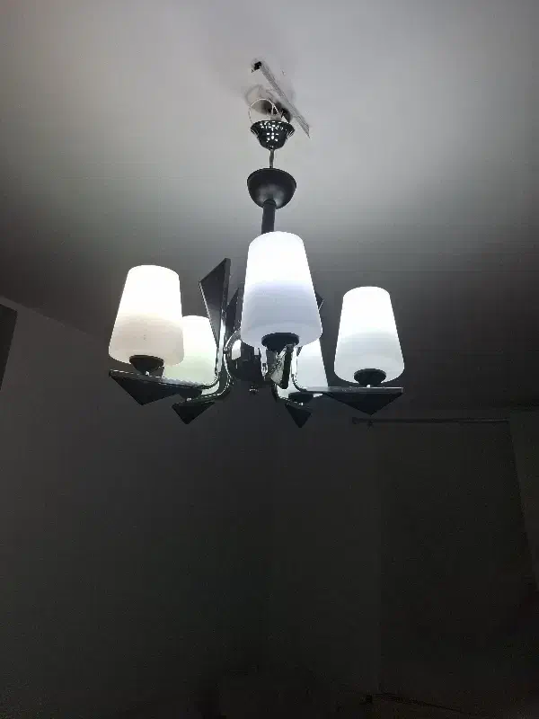 لوستر|لوستر و چراغ آویز|پردیس, فاز ۱۱|دیوار