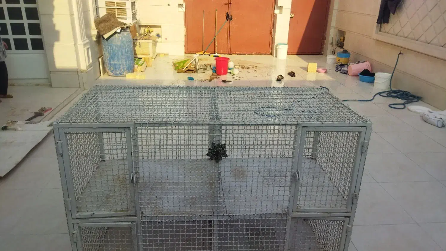 قفس پرنده|لوازم جانبی حیوانات|بندر ماهشهر, |دیوار