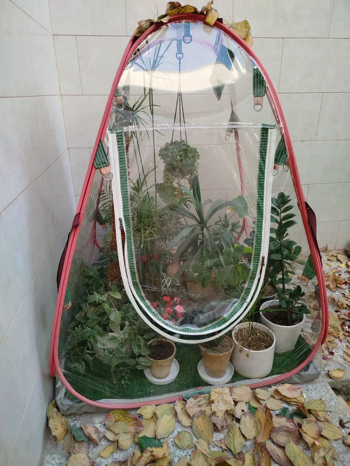 گلخانه خانگی اصفهان|خدمات پیشه و مهارت|فولادشهر, C4|دیوار