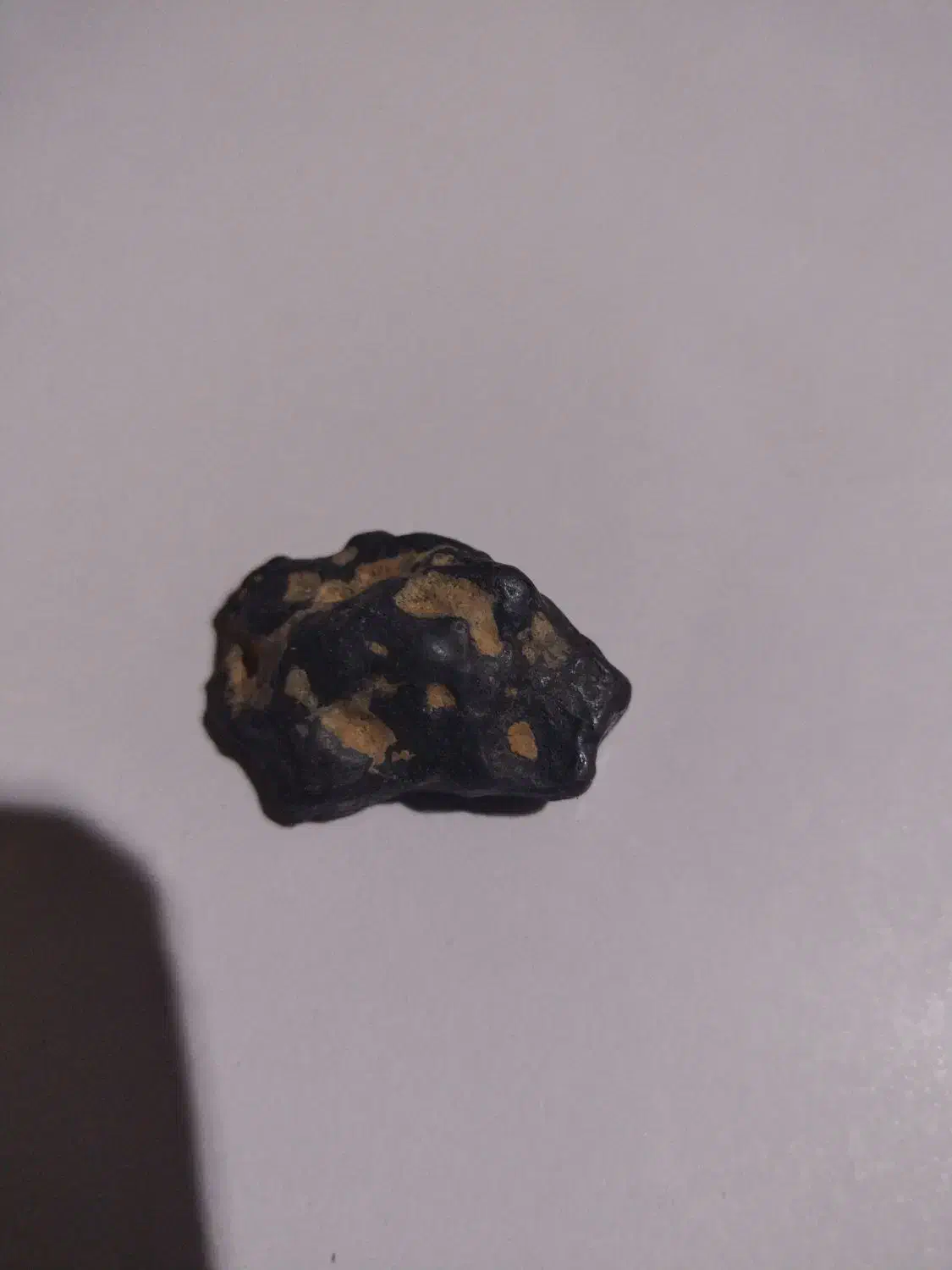 مشکوک به شهاب|جواهرات|تربتحیدریه, باغ سلطانی|دیوار