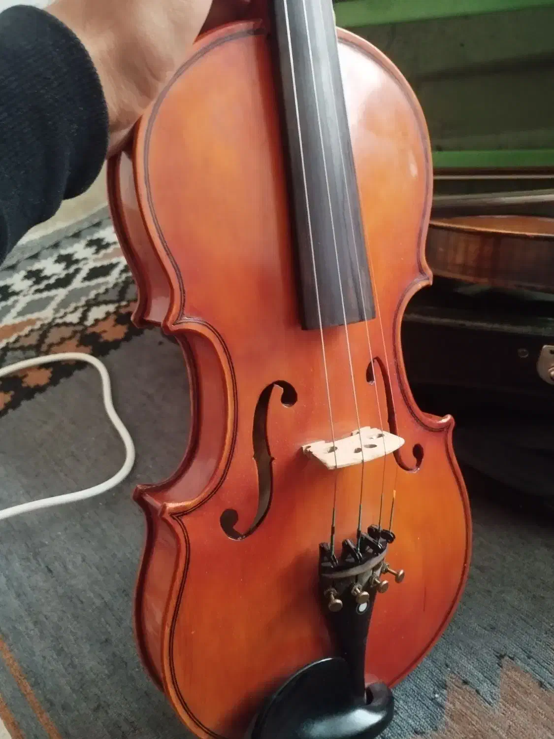 ویولن|ویولن|شیراز, شهرک قمشه|دیوار