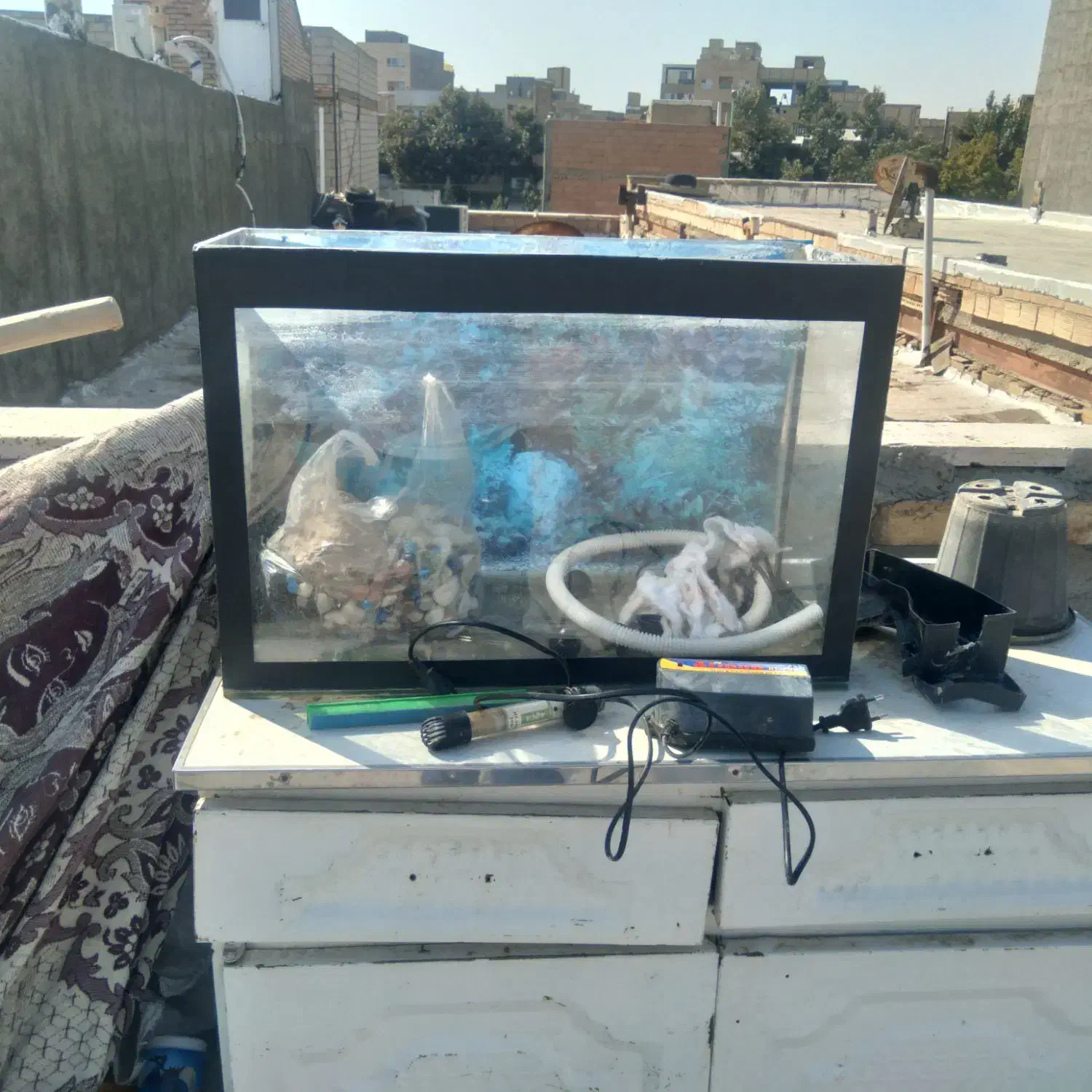 اکواریوم سالم باوسایل|ماهی|خوی, |دیوار