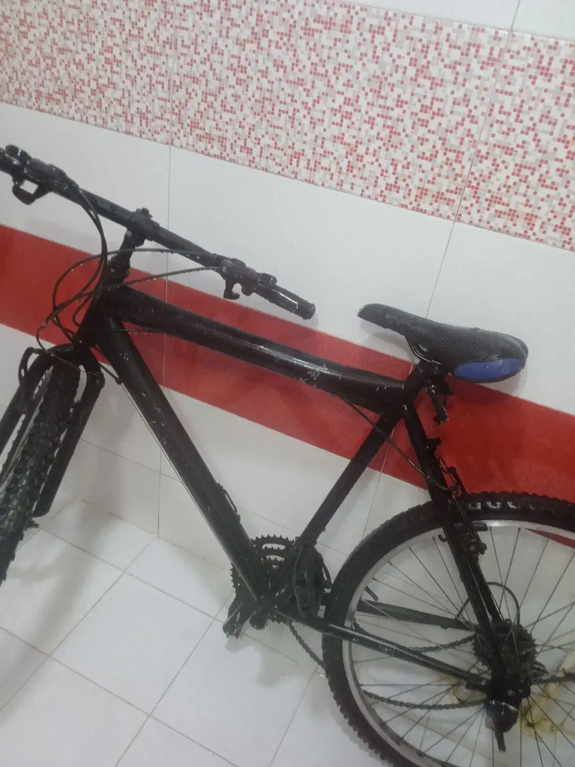 دوچرخه ۲۶|دوچرخه، اسکیت، اسکوتر|بوکان, |دیوار