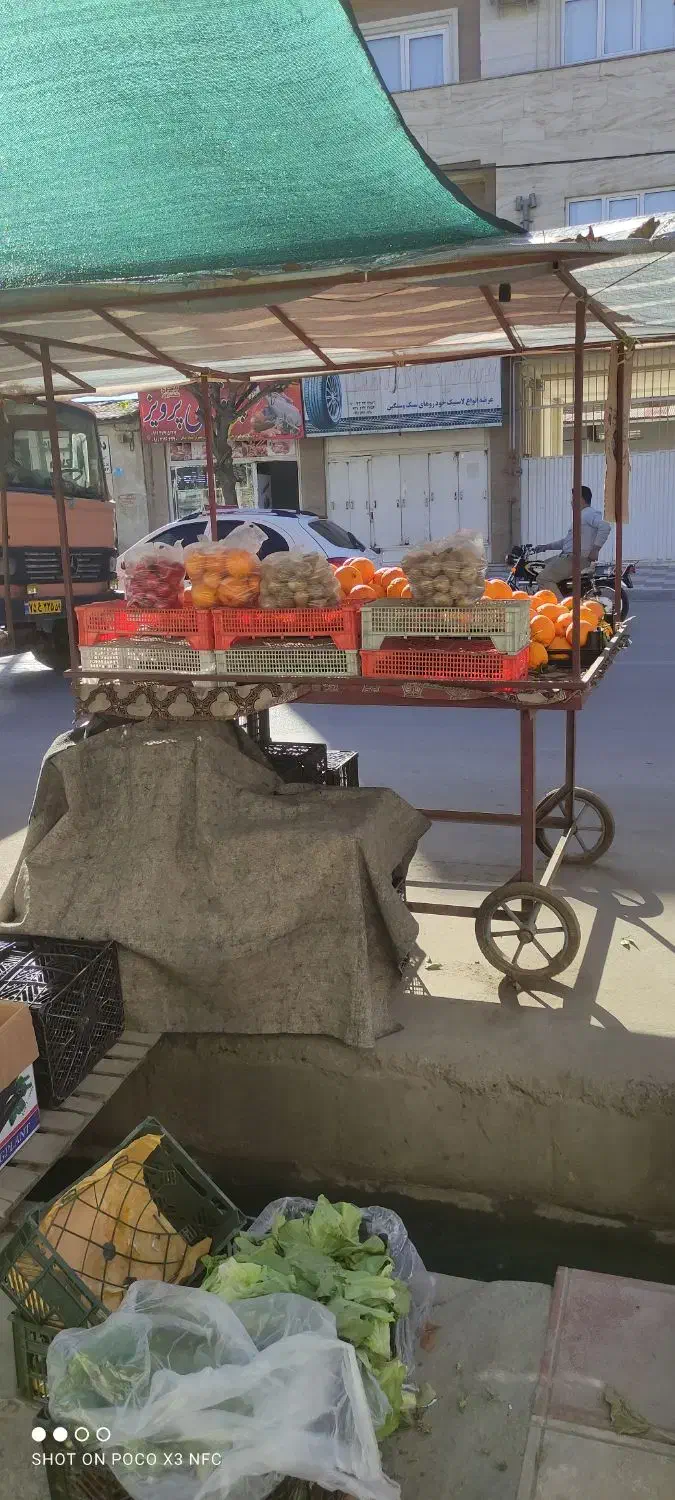 دو عدد گاری میوه فروشی|حراج|گنبد کاووس, |دیوار