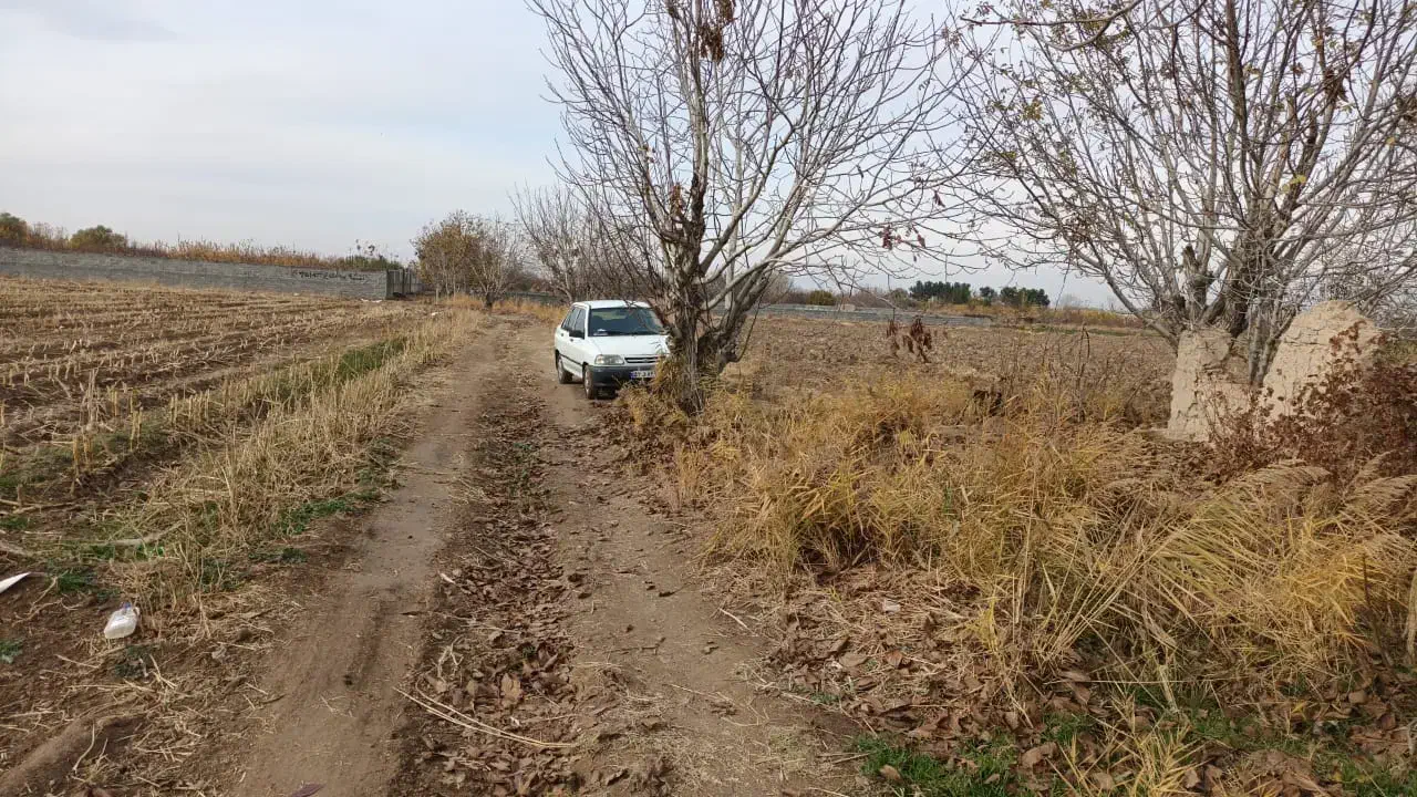 زمین باغی انگور ۶۰۰ متری خوش نقشه|فروش زمین و ملک کلنگی|رباطکریم, منجیل آباد|دیوار
