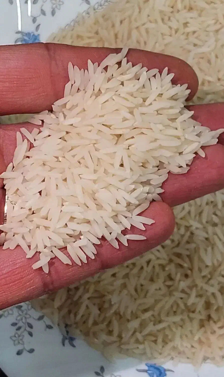 برنج هاشمی درجه یک|خوردنی و آشامیدنی|رشت, سعدی (تختی)|دیوار