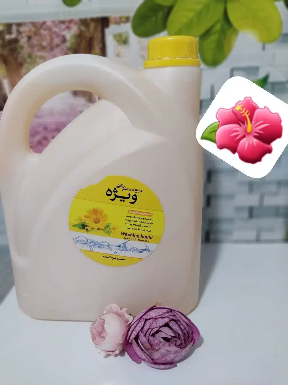 انواع شوینده گیاهی|مواد شوینده و دستمال کاغذی|همدان, |دیوار