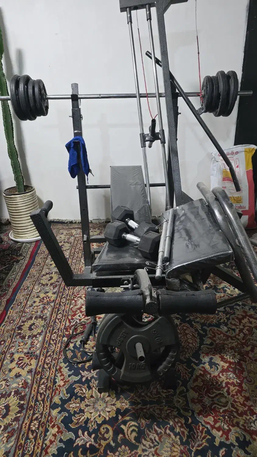 لوازم بدنسازی|تجهیزات ورزشی|پاکدشت, پاکدشت (مامازند)|دیوار